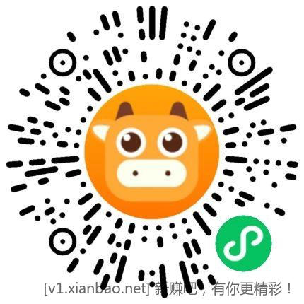 type-c 1米数据线 0.49r