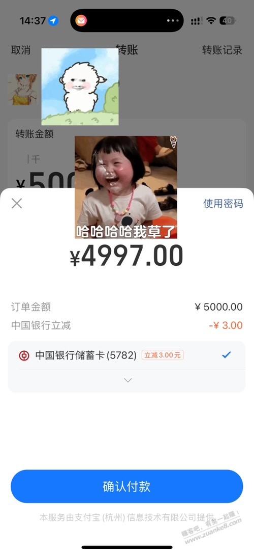 中行 9 大毛