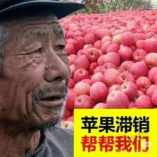 翼支付又又又又又又送苹果券了
