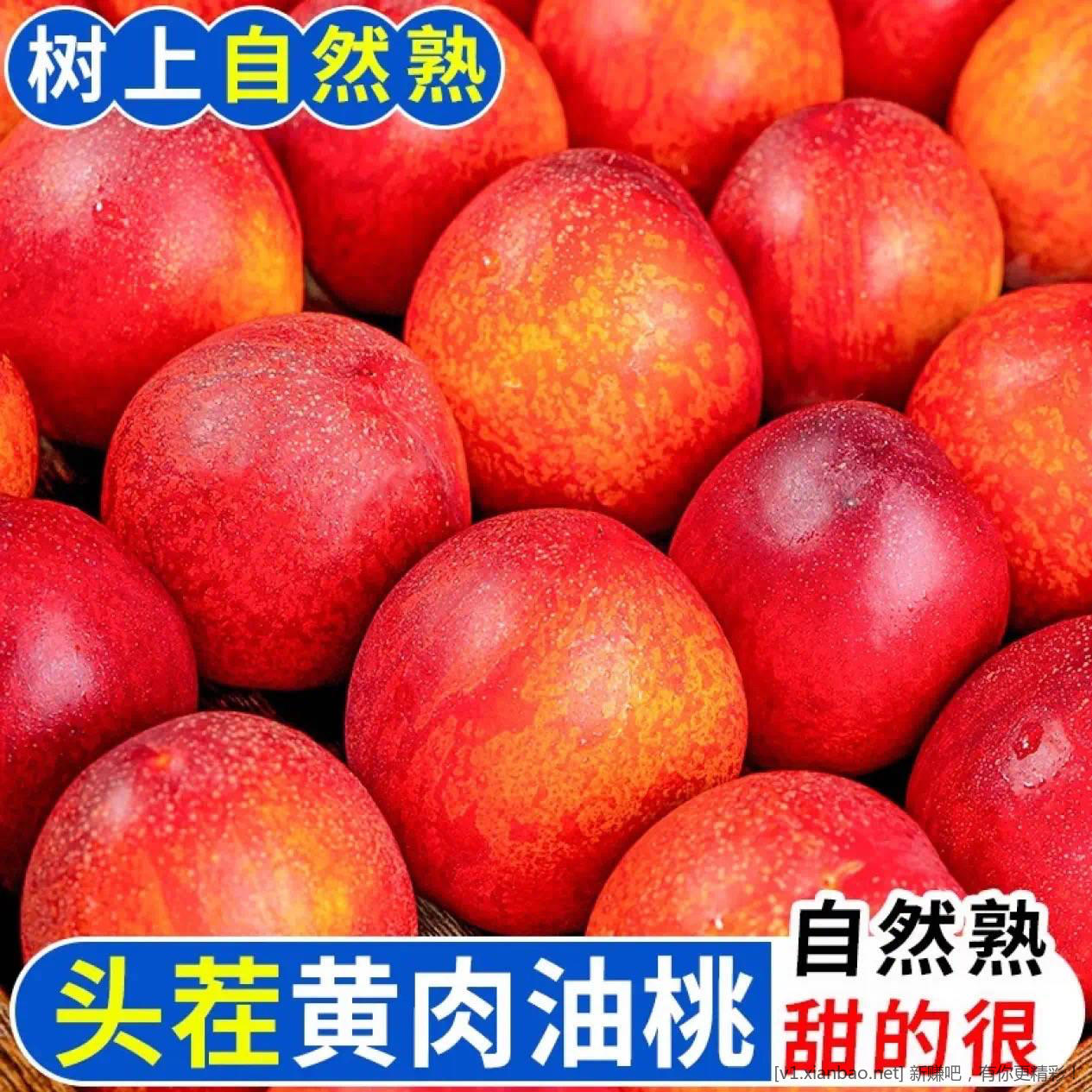 黄心油桃 5 斤 19.9 元