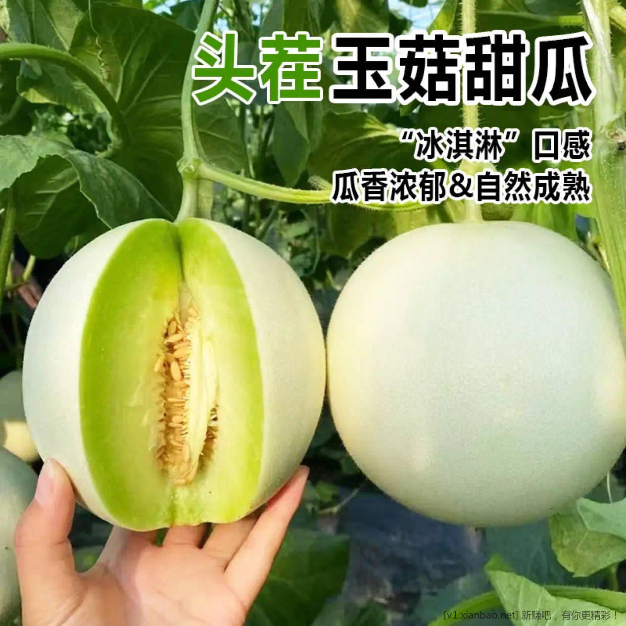 快 山东玉菇冰淇淋甜瓜 4.5-5 斤 16.9 元