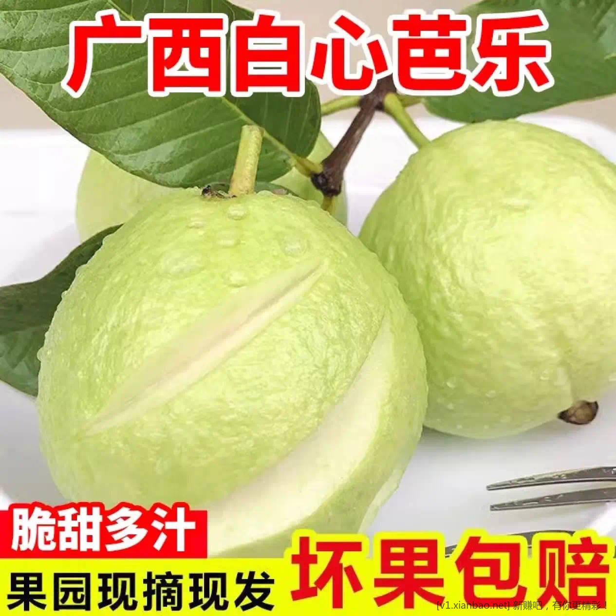 陕西芭乐净重 2.5 斤到手 16.9 元