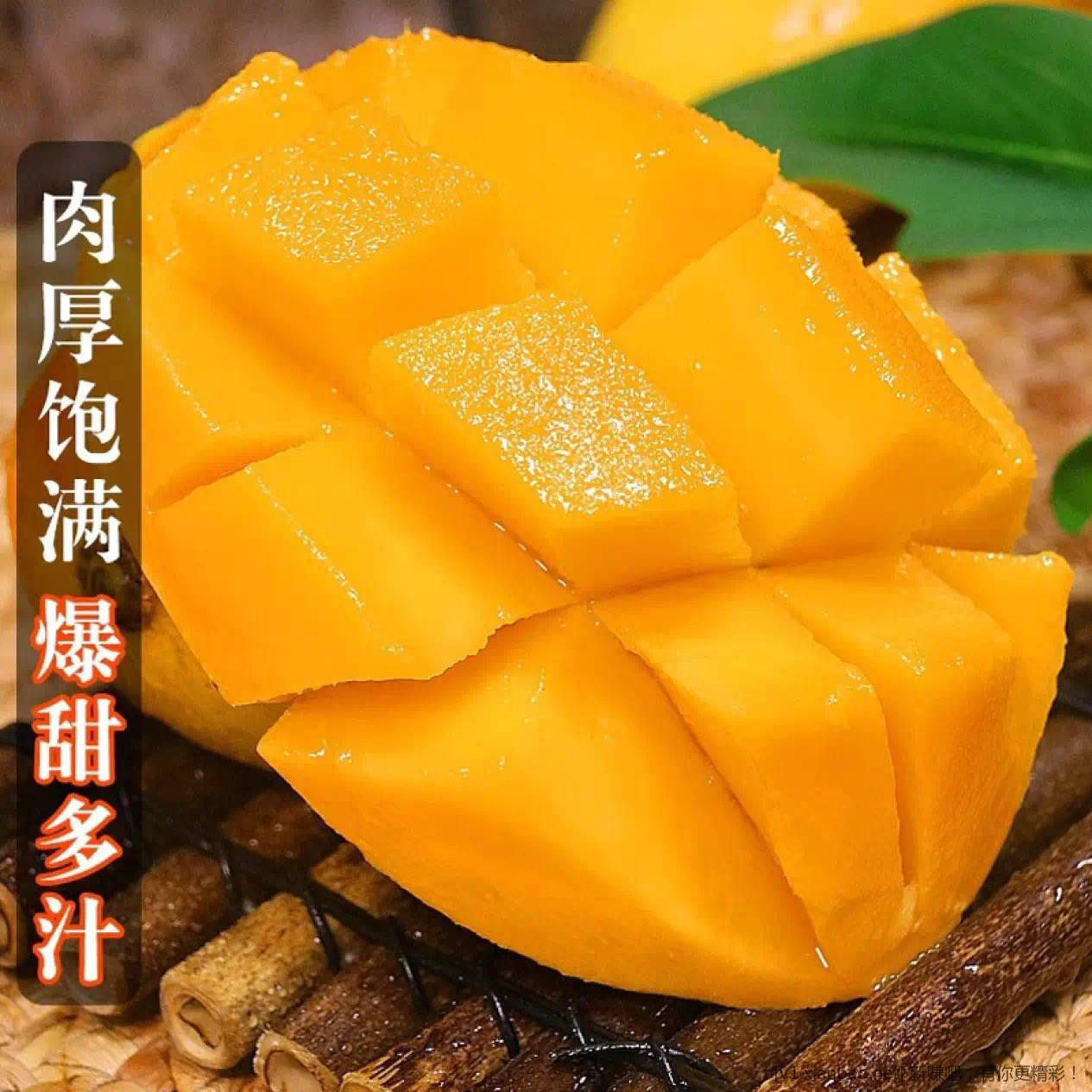 海南小台芒神价了 全网最低!