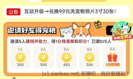 jd领免费猫粮