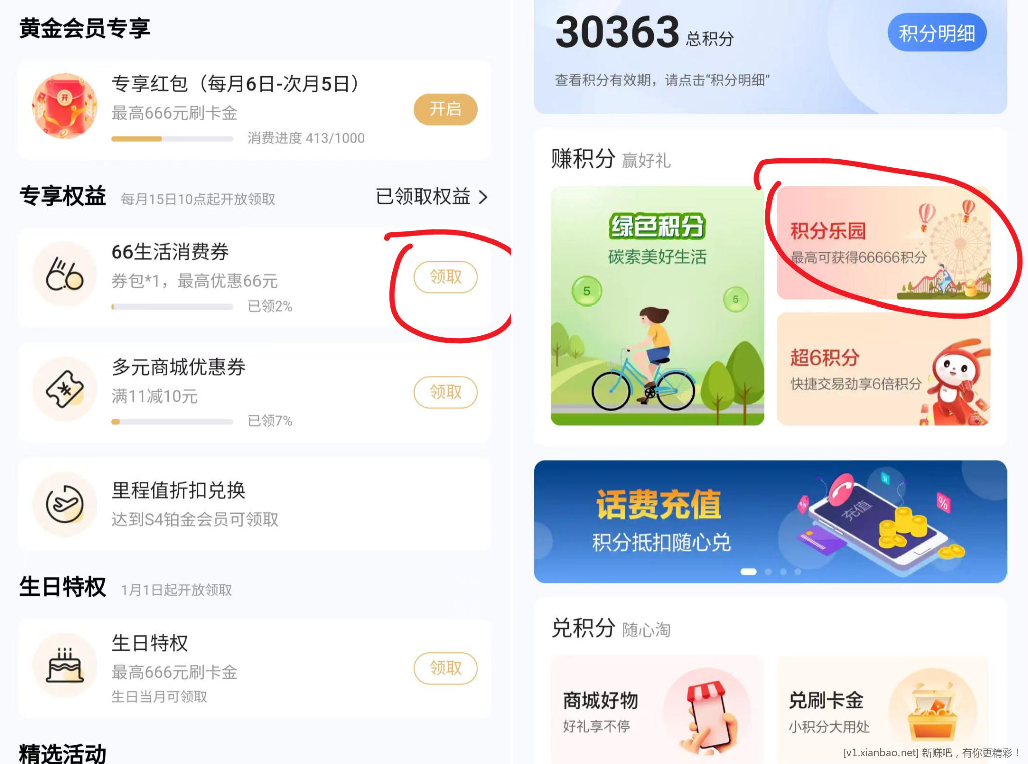 浦发大毛