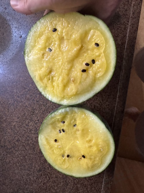 西瓜的好评都是刷出来的