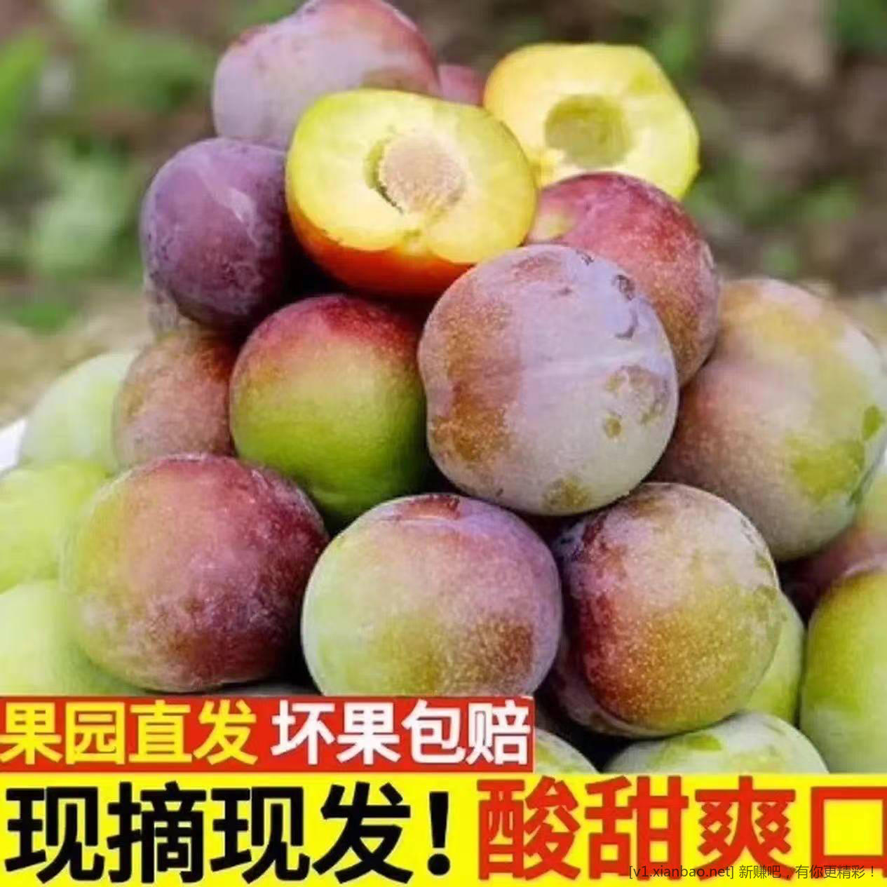 四川半边红脱骨李 5 斤 16.9 元 新品冲量