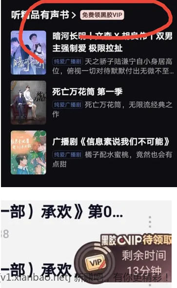 网抑云听书领黑胶会员