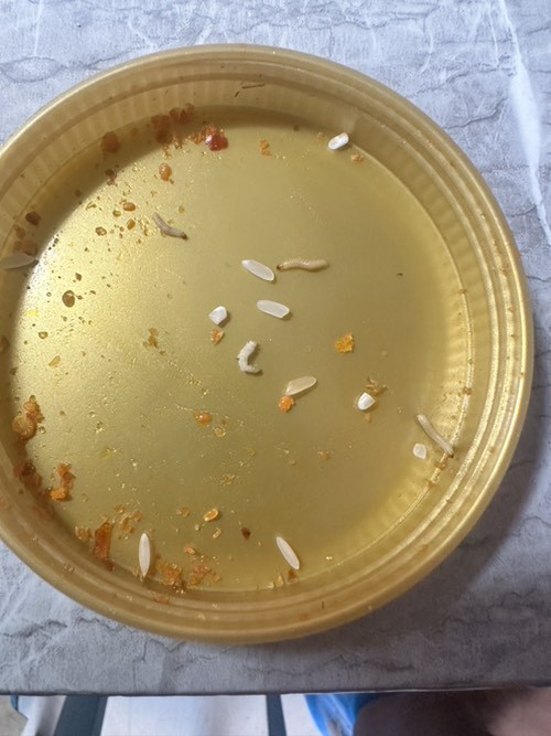 京东开会员送的大米里面都是虫子...