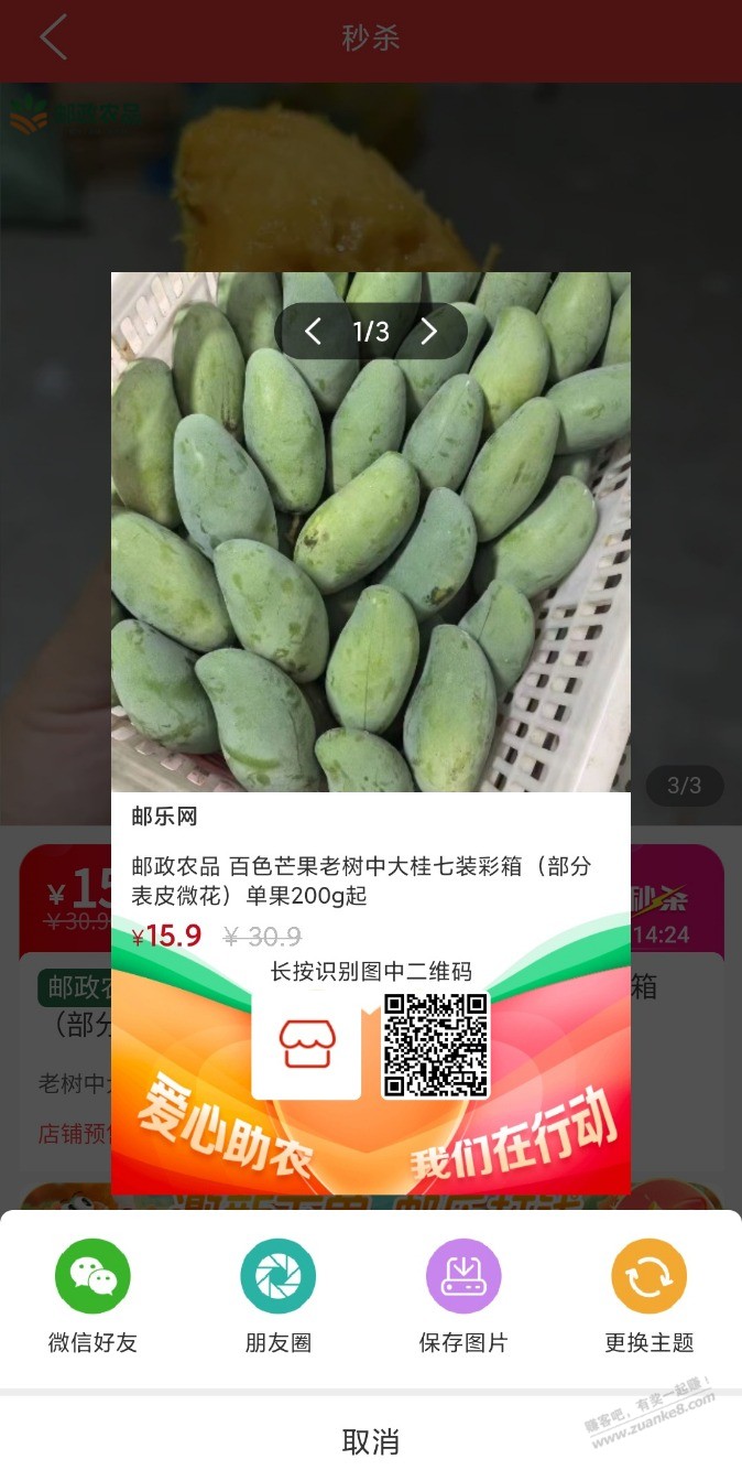 桂七芒果好价
