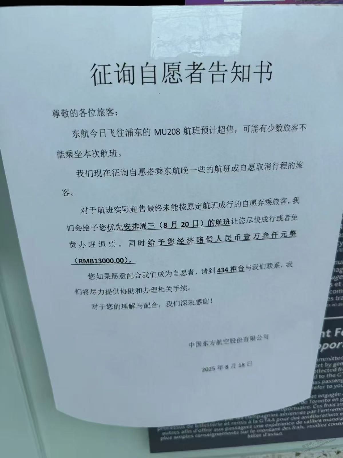 现在的大毛