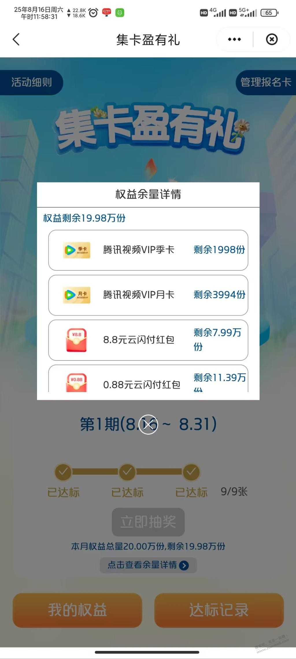 少妇大毛