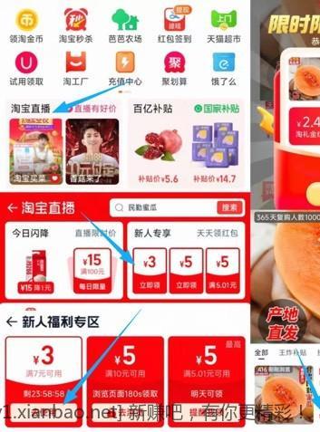 ??几乎白嫖哈密瓜???